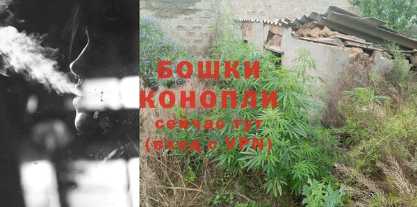 ПСИЛОЦИБИНОВЫЕ ГРИБЫ Горняк