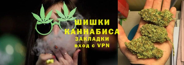 ПСИЛОЦИБИНОВЫЕ ГРИБЫ Горняк