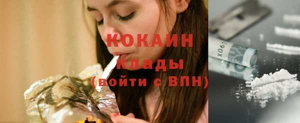 ПСИЛОЦИБИНОВЫЕ ГРИБЫ Горняк