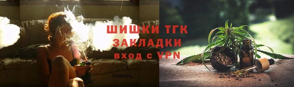 ПСИЛОЦИБИНОВЫЕ ГРИБЫ Горняк