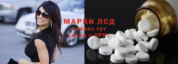 ПСИЛОЦИБИНОВЫЕ ГРИБЫ Горняк