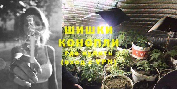 ПСИЛОЦИБИНОВЫЕ ГРИБЫ Горняк