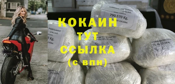 ПСИЛОЦИБИНОВЫЕ ГРИБЫ Горняк