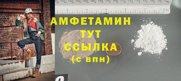 ПСИЛОЦИБИНОВЫЕ ГРИБЫ Горняк
