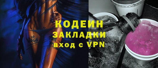 ПСИЛОЦИБИНОВЫЕ ГРИБЫ Горняк