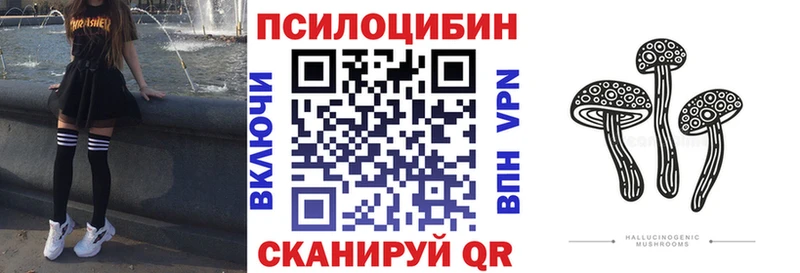 Галлюциногенные грибы Cubensis  Купить  Катав-Ивановск 