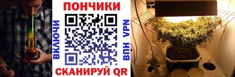 Купить закладки  Катав-Ивановск  Марихуана сатива 